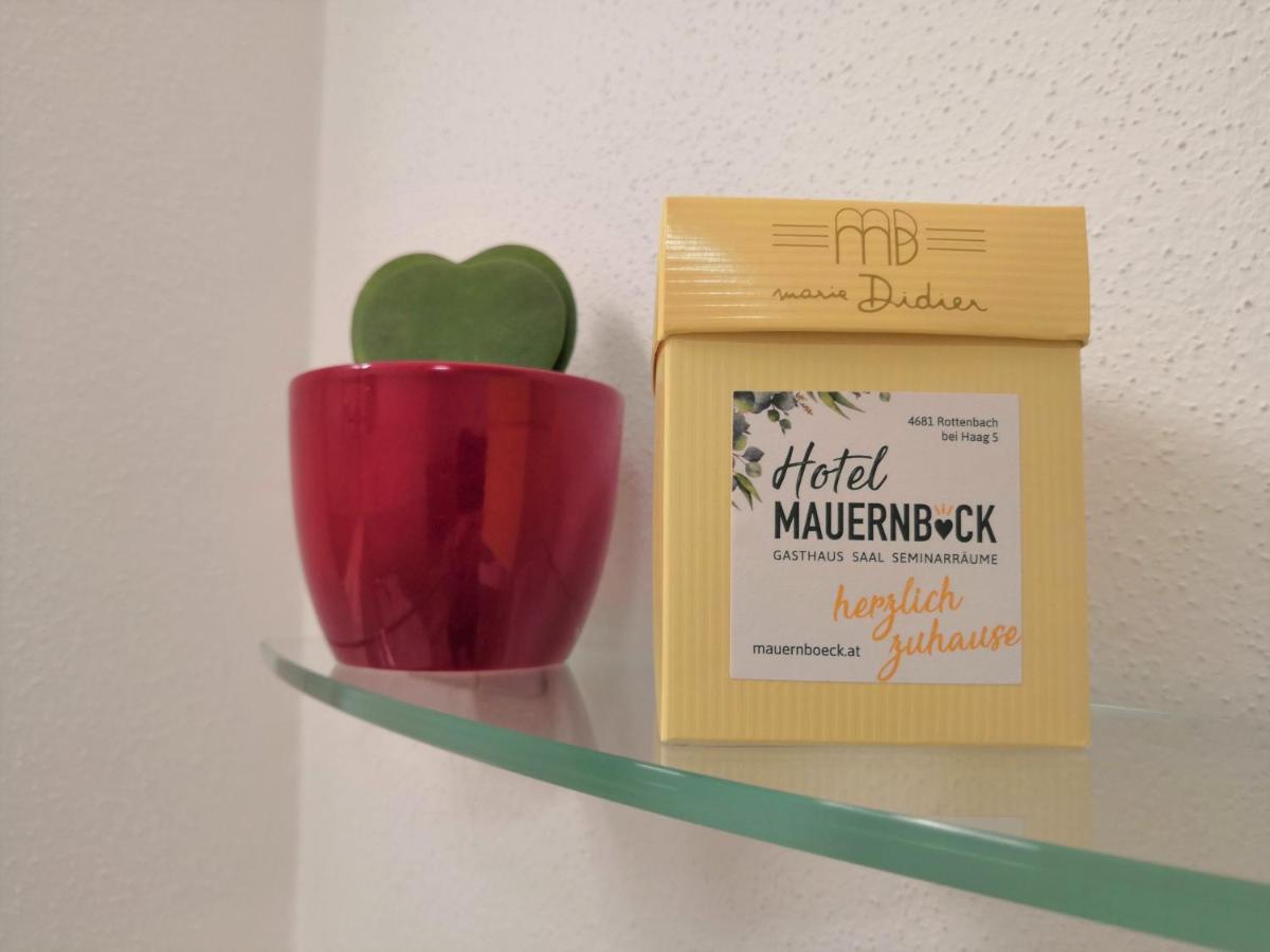 Hotel Mauernboeck Rottenbach エクステリア 写真